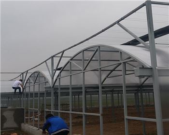 PC陽光板：讓陽光與舒適并存的創(chuàng)新建筑材料